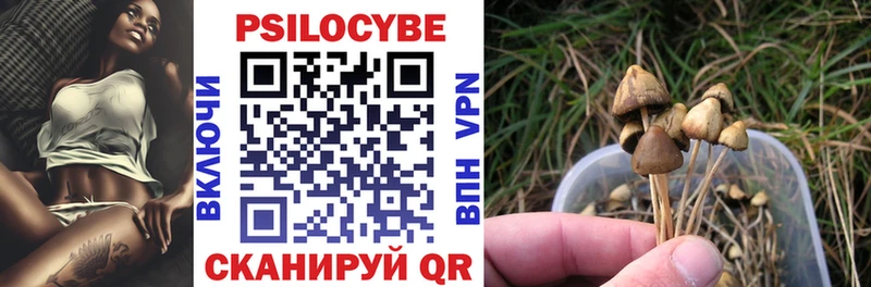 Купить  Похвистнево  Галлюциногенные грибы Psilocybine cubensis 